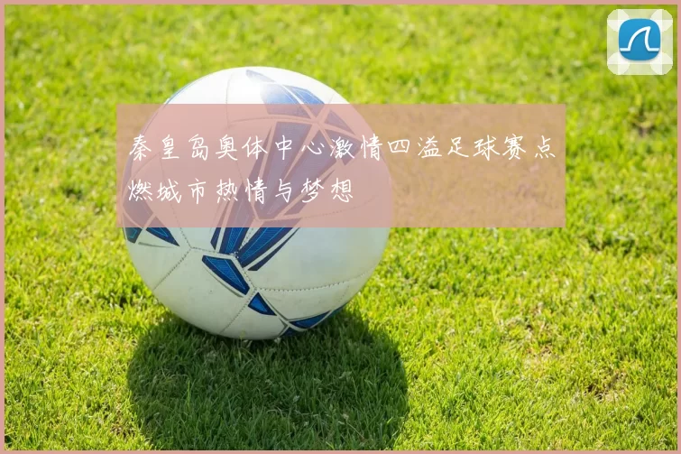 秦皇岛奥体中心激情四溢足球赛点燃城市热情与梦想