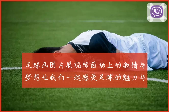 足球画图片展现绿茵场上的激情与梦想让我们一起感受足球的魅力与艺术之美